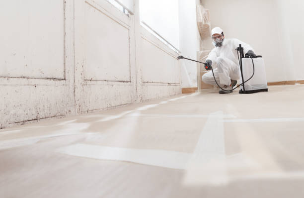 24/7 Emergency Mold Testing experts in Belvidere, NJ